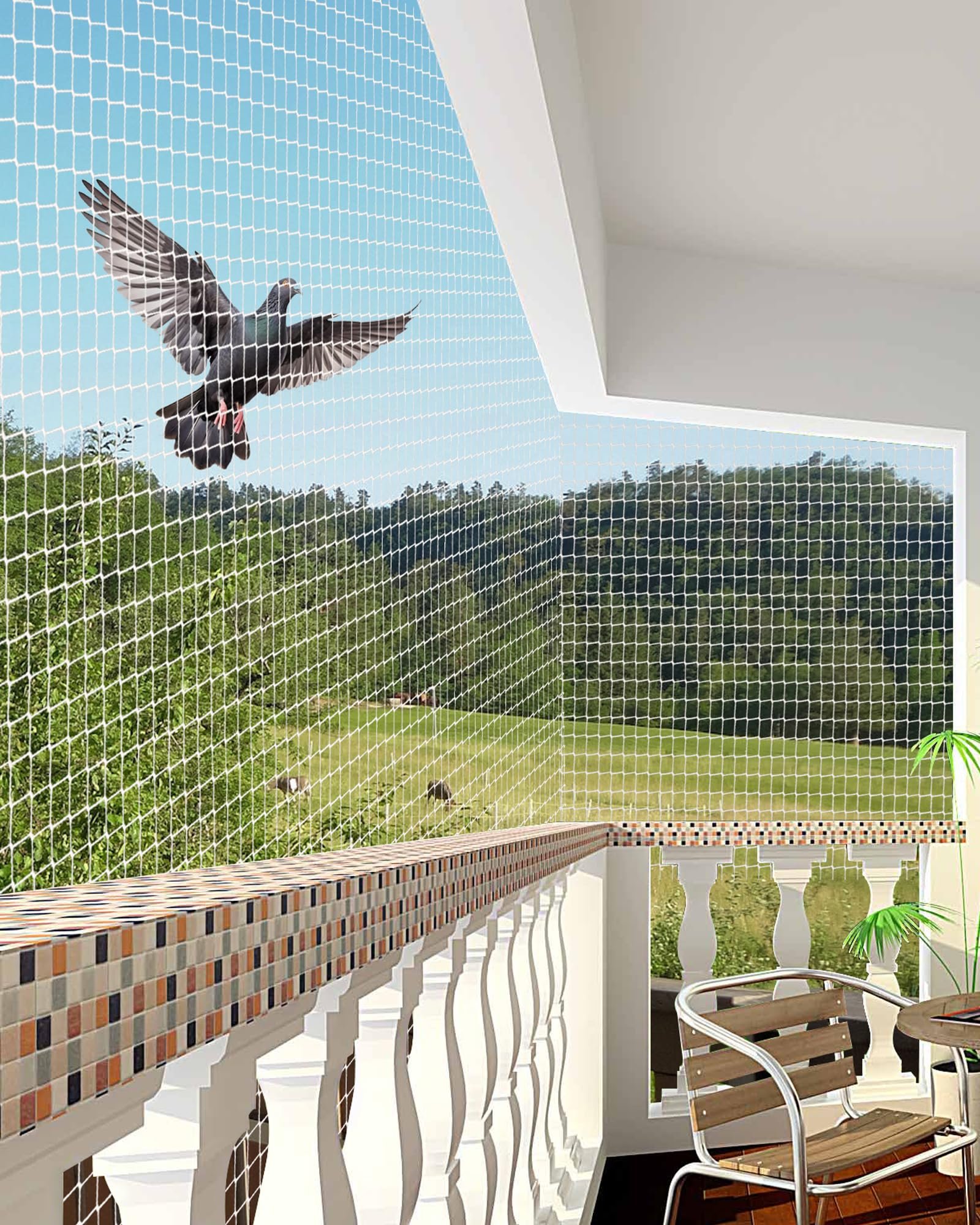 Bird Net 