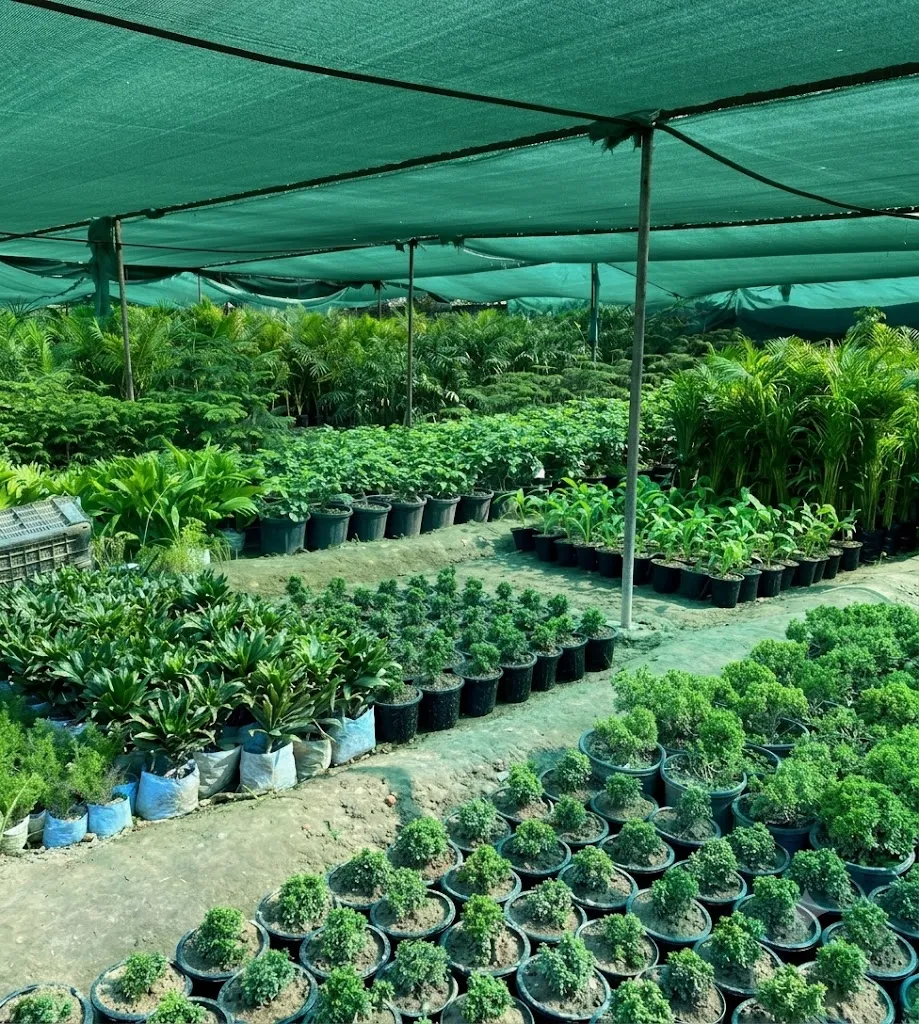 Horticulture and Floriculture