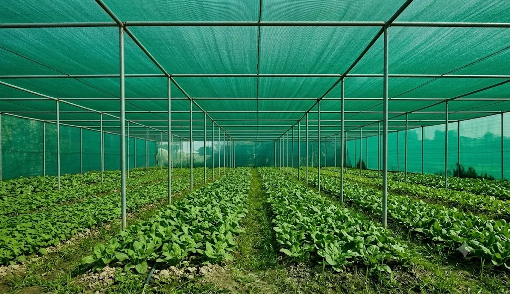 Agro Shade Net India