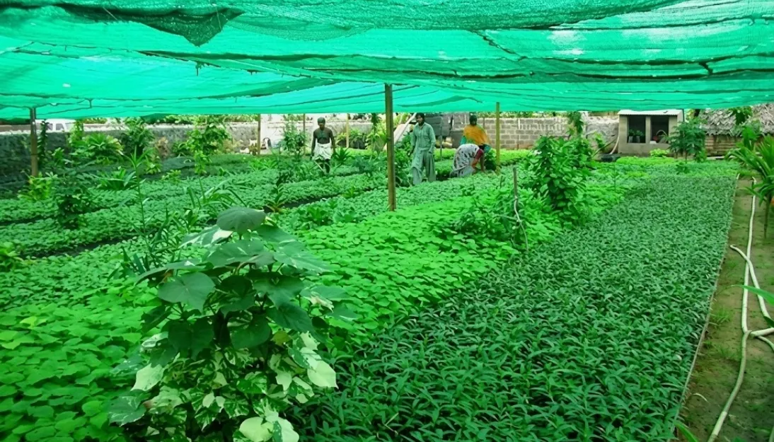 Agro Shade Net India
