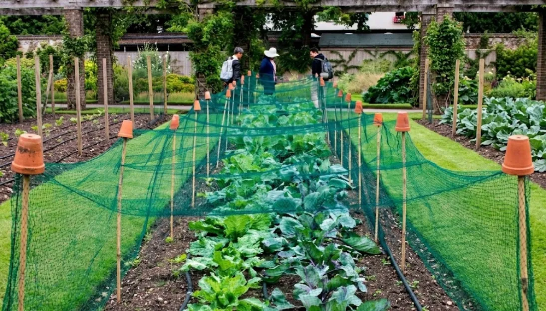 Agro Shade Net India