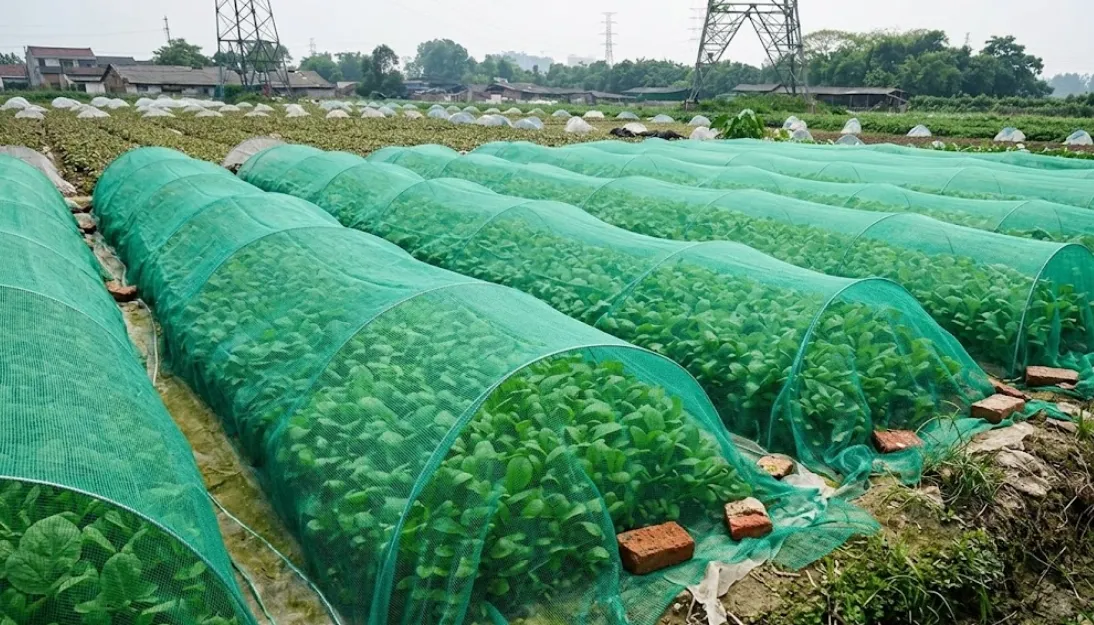 Agro Shade Net India
