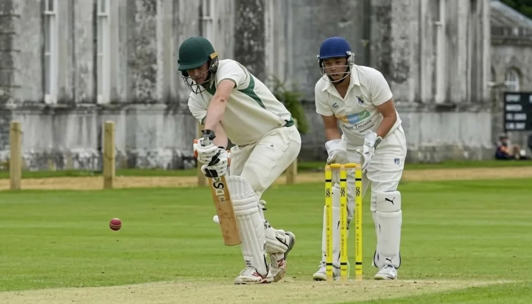 Cricket Net India